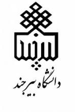 دانشگاه بیرجند